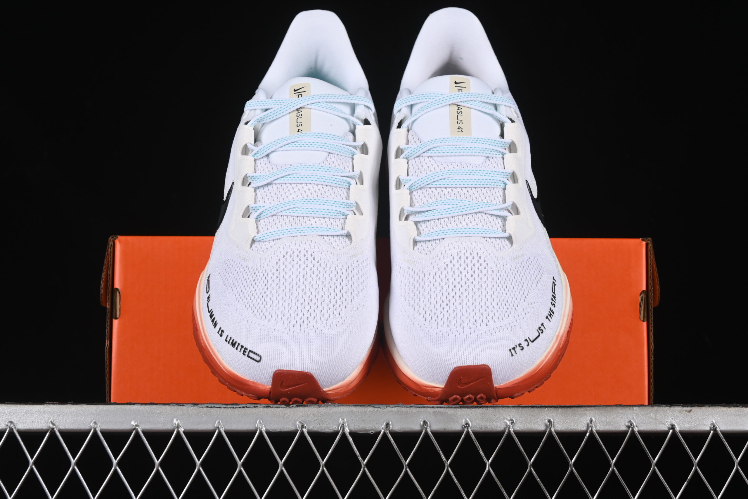 Eliud Kipchoge x Nike Air Zoom Pegasus 41 — изображение 5