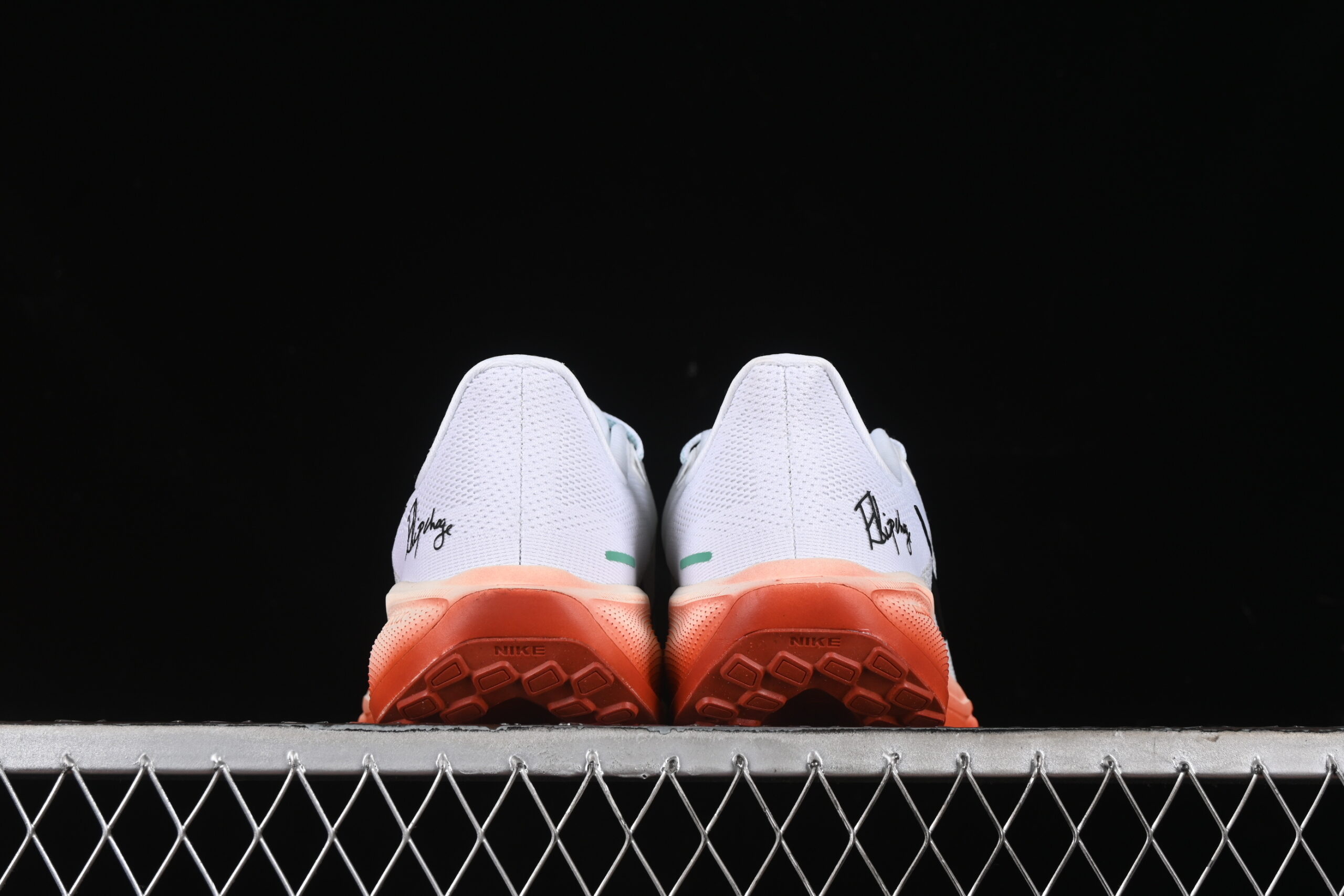 Eliud Kipchoge x Nike Air Zoom Pegasus 41 — изображение 4